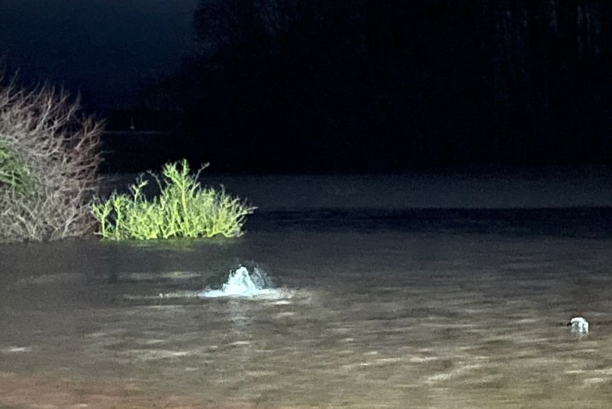 Ungew&ouml;hnlicher Einsatz