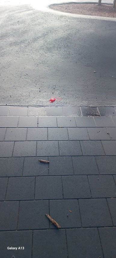 Kinder wehren sich gegen Verm&uuml;llung &ouml;ffentlicher Pl&auml;tze