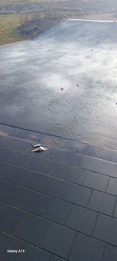 Kinder wehren sich gegen Verm&uuml;llung &ouml;ffentlicher Pl&auml;tze