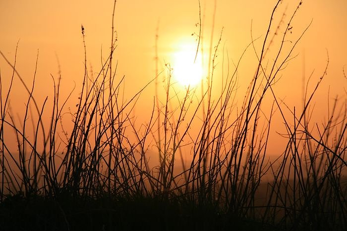 Sonnenuntergang - fotografiert vom Hainer Berg