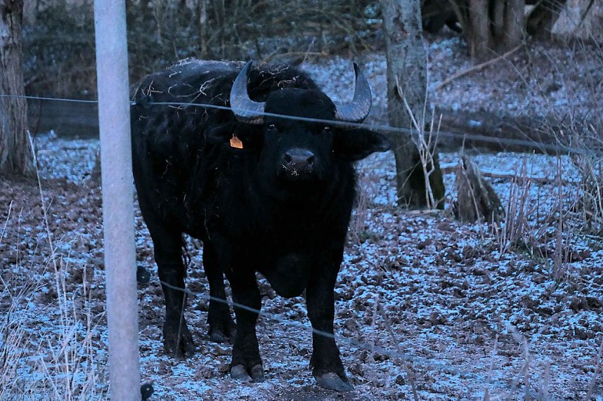 Peter Blei unterwegs in der Windl&uuml;cke