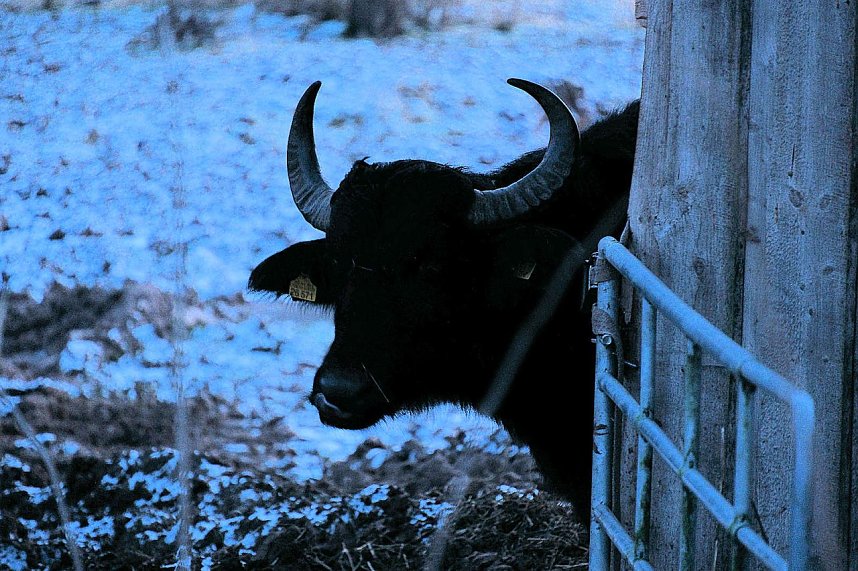 Peter Blei unterwegs in der Windl&uuml;cke
