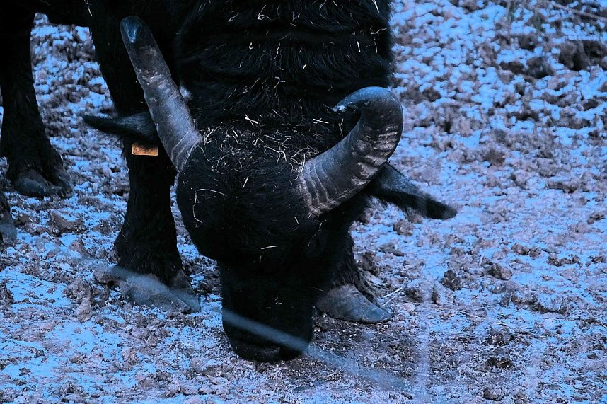 Peter Blei unterwegs in der Windl&uuml;cke