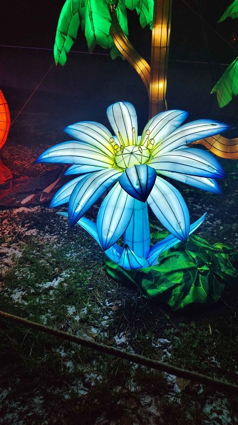 Peter Blei unterwegs in magischen Lichterwelten