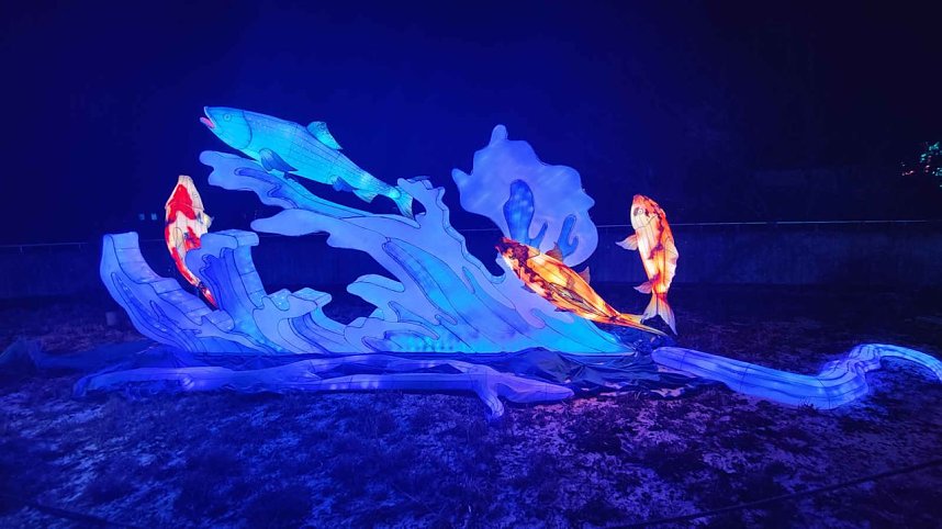 Peter Blei unterwegs in magischen Lichterwelten