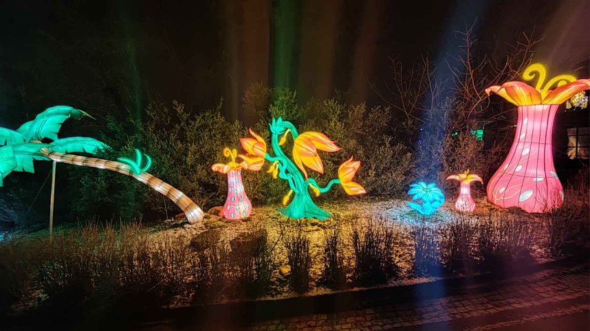 Peter Blei unterwegs in magischen Lichterwelten