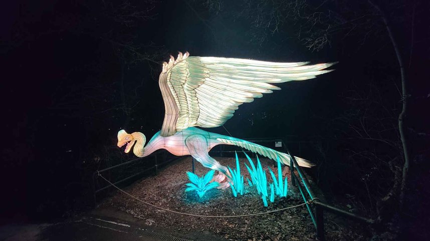 Peter Blei unterwegs in magischen Lichterwelten