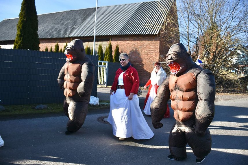 Karnevalsumzug in Leimbach