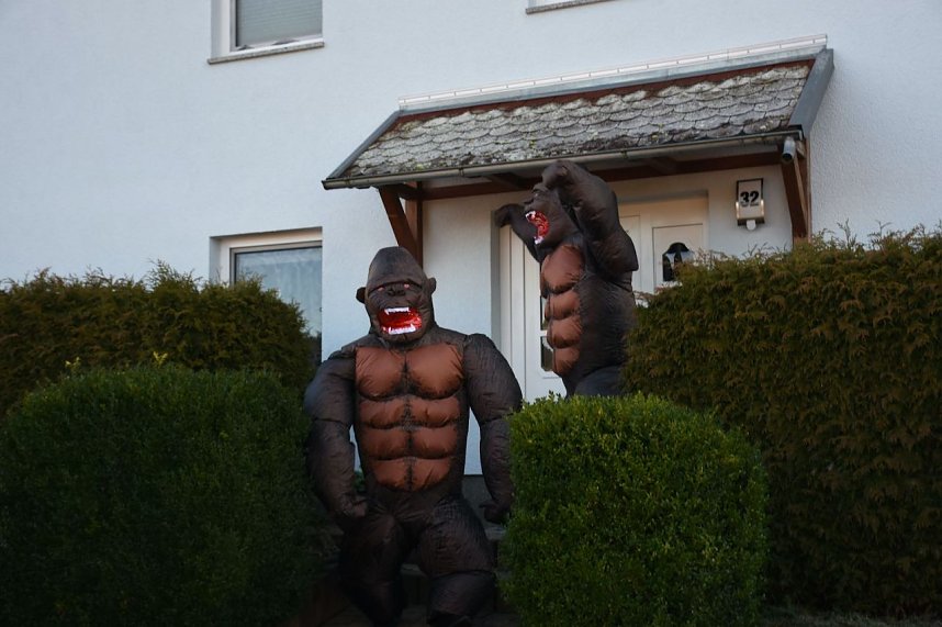 Karnevalsumzug in Leinbach