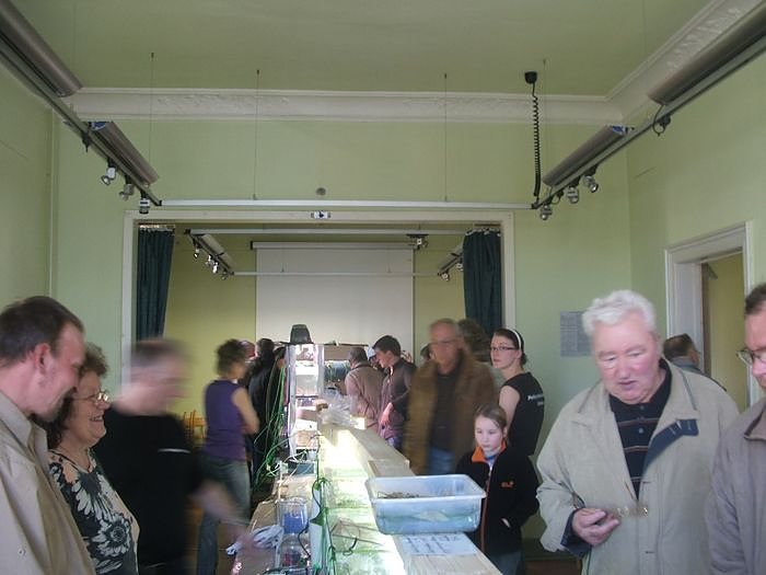 B&ouml;rse im Vereinshaus