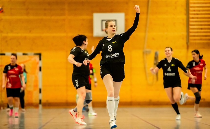 Handball am Wochenende