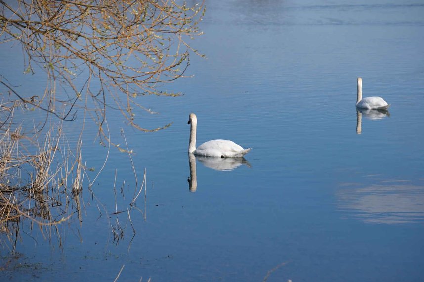 Peter Blei unterwegs im Fr&uuml;hling