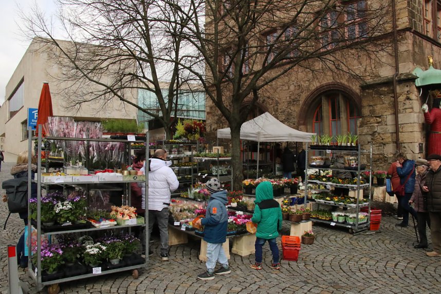 Fr&uuml;hlingserwachen zum verkaufsoffenen Sonntag