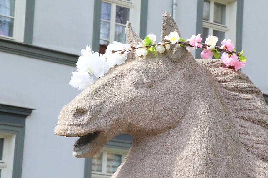 Fr&uuml;hlingserwachen zum verkaufsoffenen Sonntag