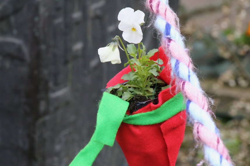 Fr&uuml;hlingserwachen zum verkaufsoffenen Sonntag