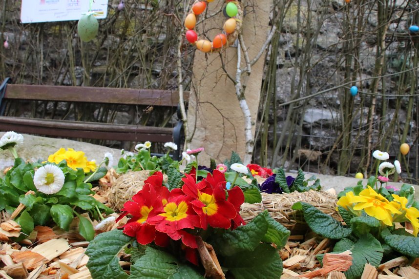 Fr&uuml;hlingserwachen zum verkaufsoffenen Sonntag