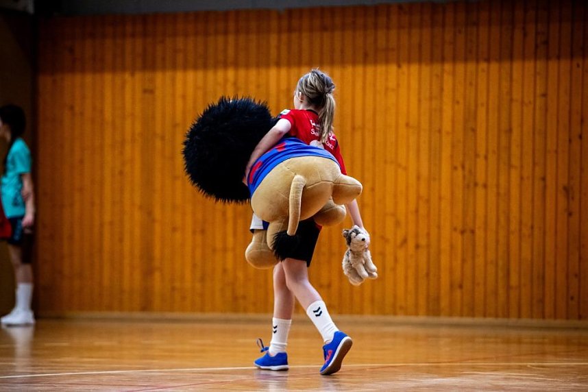 Handball am Wochenende