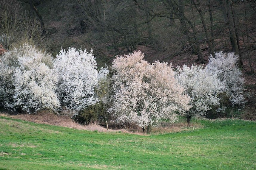 Ostern am Rosenteich