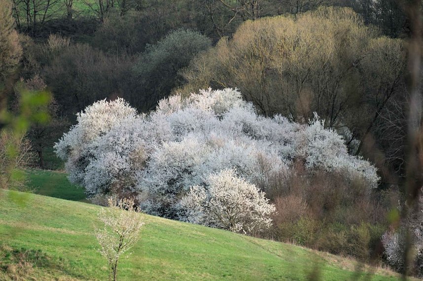 Ostern am Rosenteich