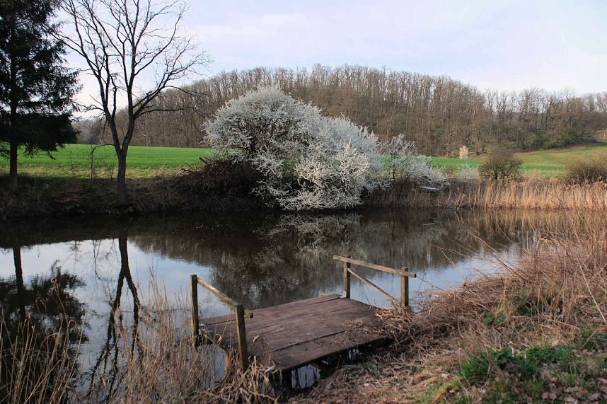 Ostern am Rosenteich