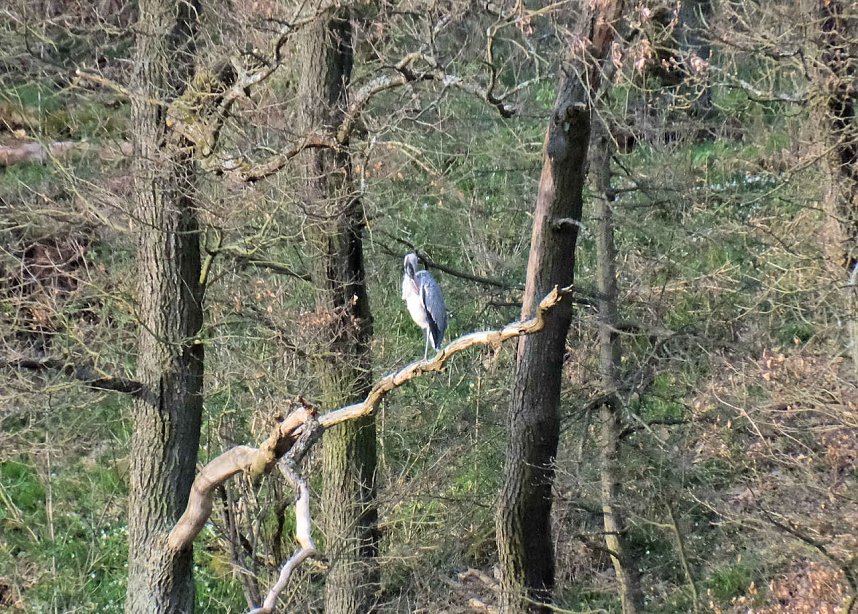 Ostern am Rosenteich