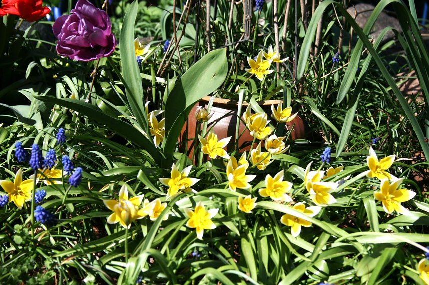 Saisonstart in Auleben