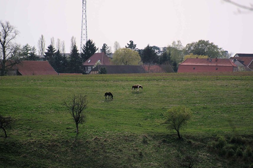 Peter Blei unterwegs bei der S&auml;gem&uuml;hle