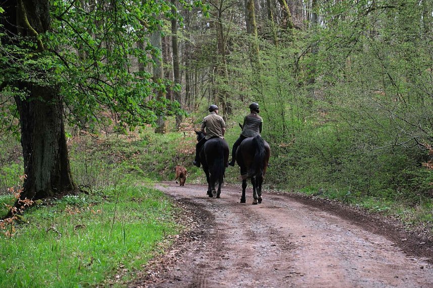Peter Blei unterwegs bei der S&auml;gem&uuml;hle