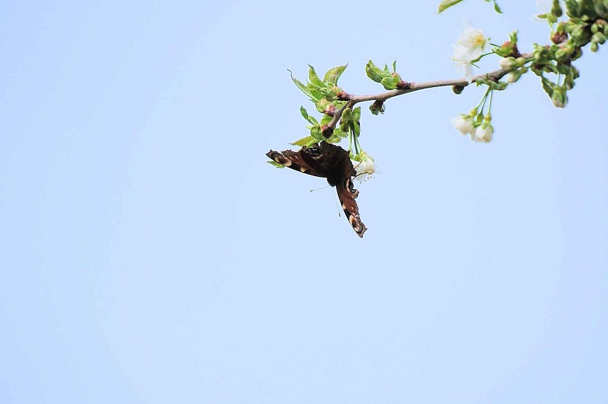 Peter Blei unterwegs bei der S&auml;gem&uuml;hle