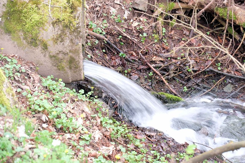 Peter Blei unterwegs bei der S&auml;gem&uuml;hle