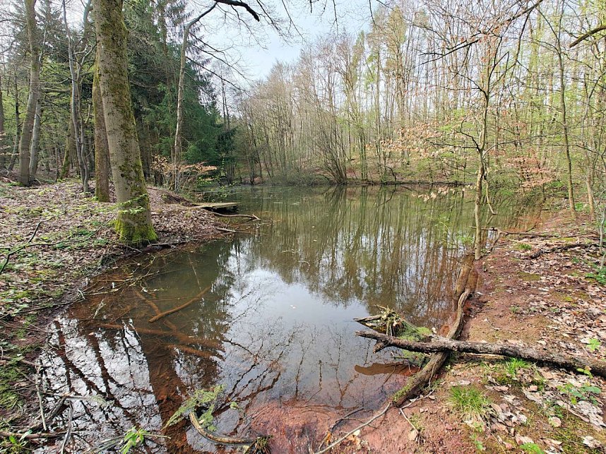 Peter Blei unterwegs bei der S&auml;gem&uuml;hle