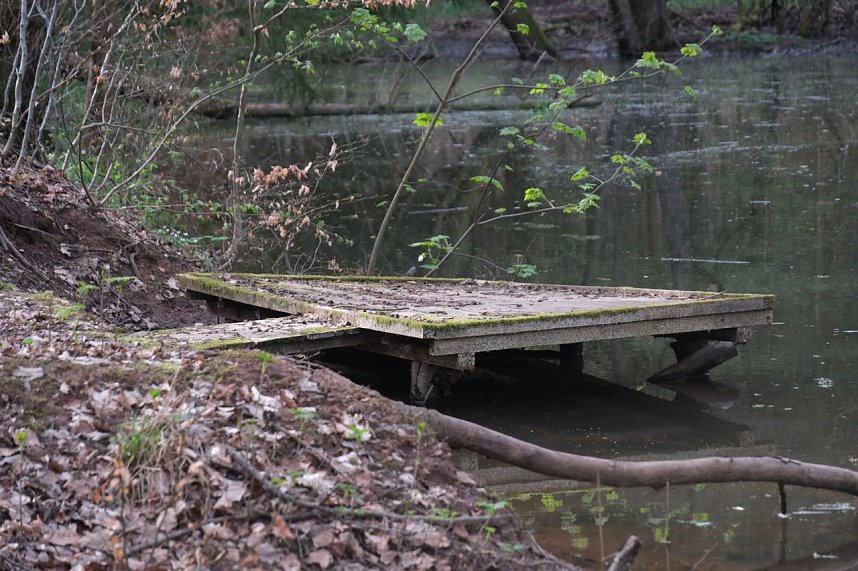 Peter Blei unterwegs bei der S&auml;gem&uuml;hle