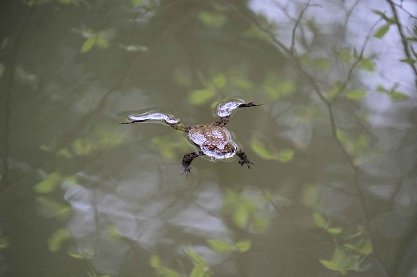 Peter Blei unterwegs bei der S&auml;gem&uuml;hle