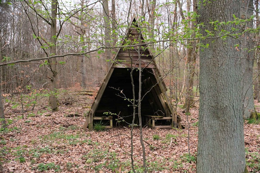 Peter Blei unterwegs bei der S&auml;gem&uuml;hle