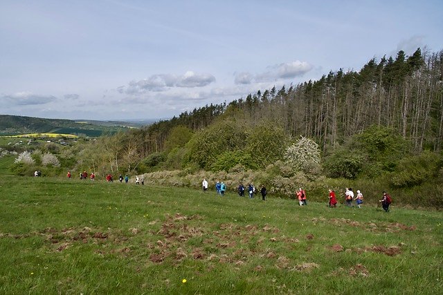 Fr&uuml;hjahrswanderung bei Auleben
