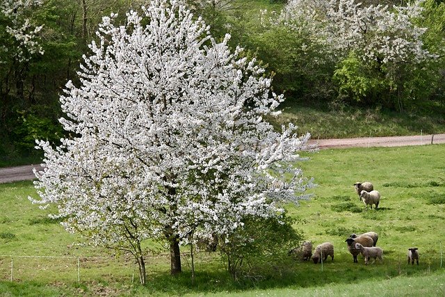 Fr&uuml;hjahrswanderung bei Auleben