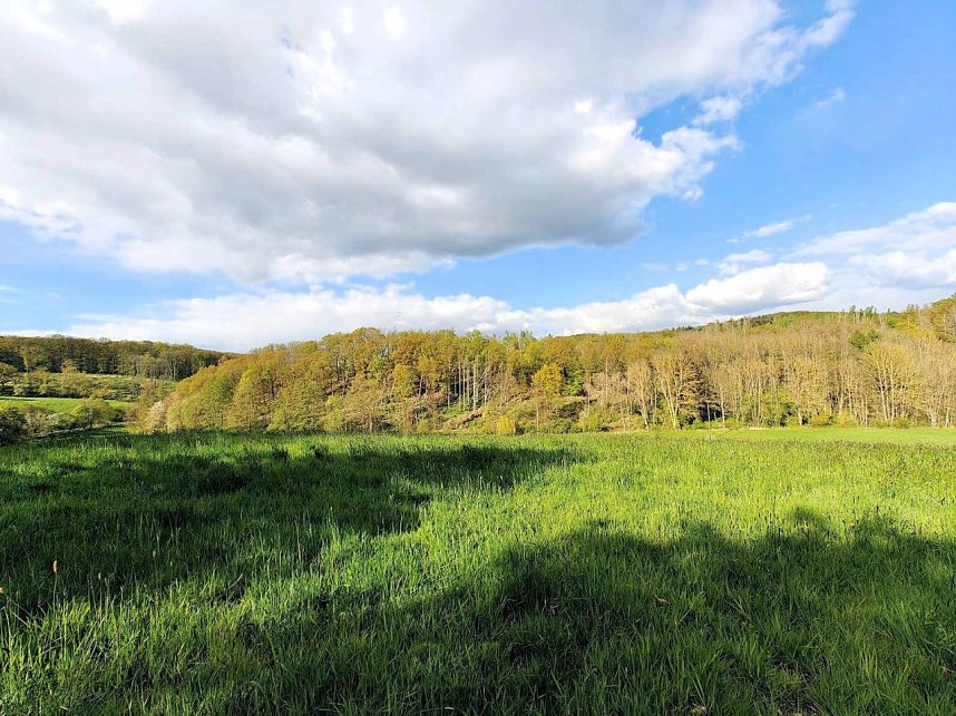 Sturmsch&auml;den,viel Wasser und sehr gute Fernsicht am ehemaligen Wald bei Urbach