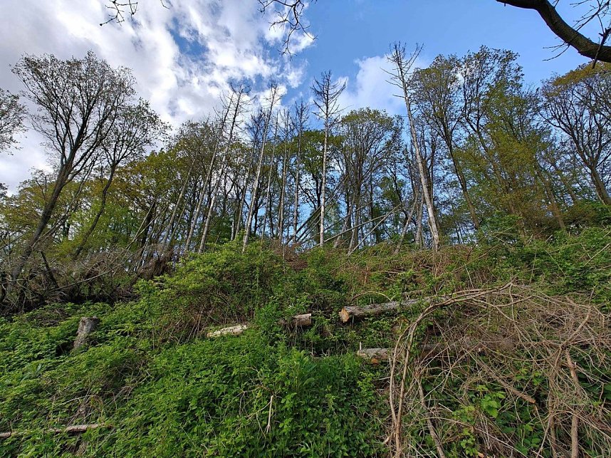 Sturmsch&auml;den,viel Wasser und sehr gute Fernsicht am ehemaligen Wald bei Urbach