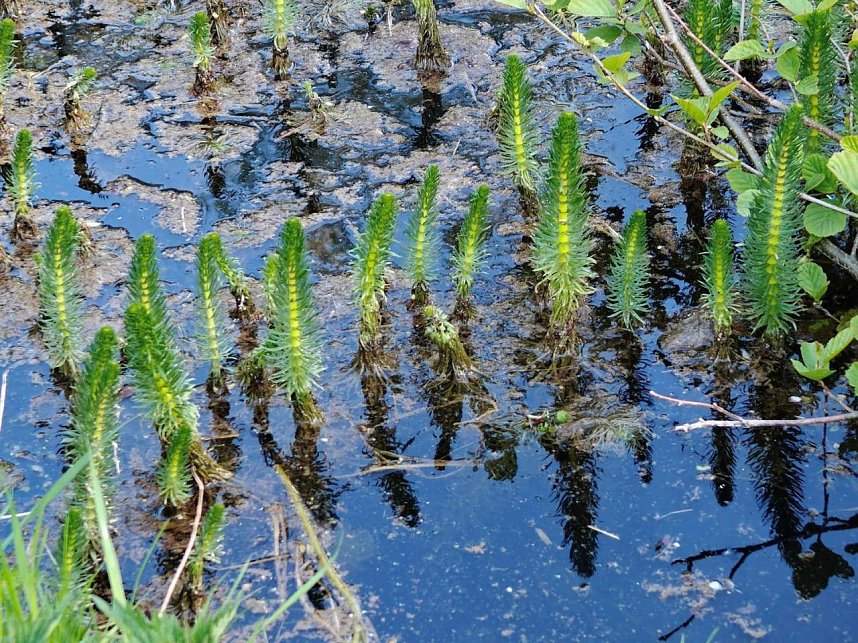 Sturmsch&auml;den,viel Wasser und sehr gute Fernsicht am ehemaligen Wald bei Urbach