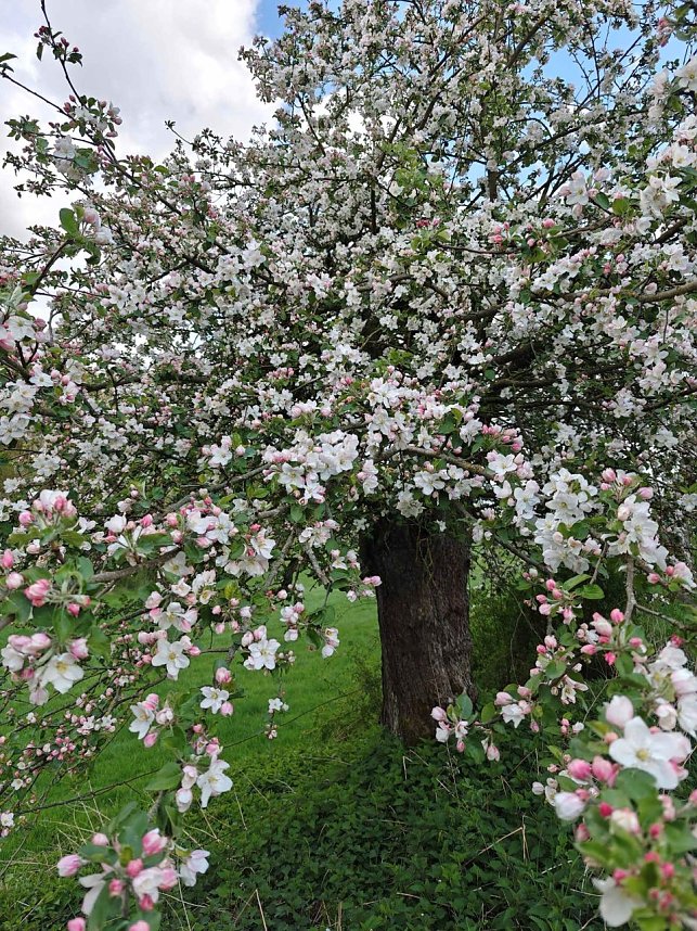 Sturmsch&auml;den,viel Wasser und sehr gute Fernsicht am ehemaligen Wald bei Urbach