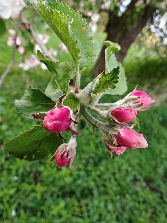 Sturmsch&auml;den,viel Wasser und sehr gute Fernsicht am ehemaligen Wald bei Urbach