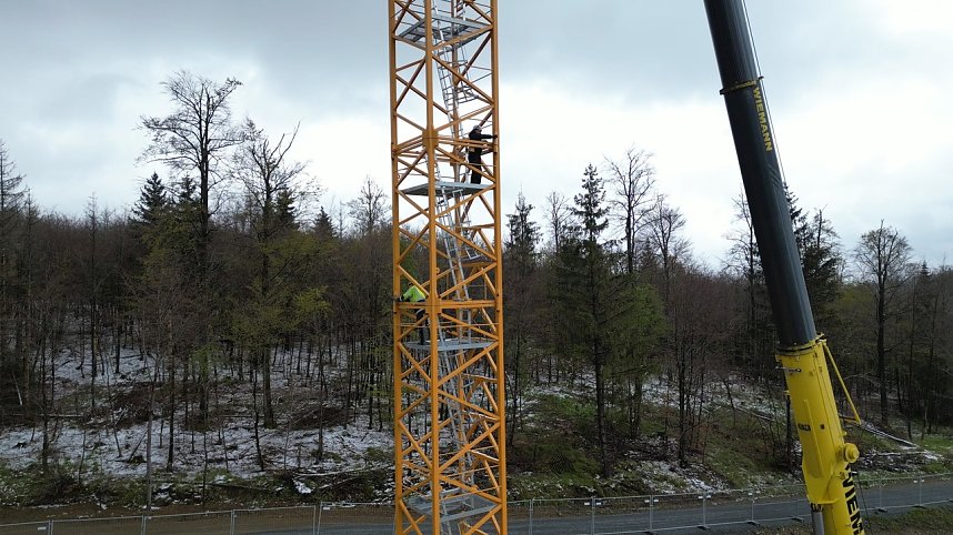 Ein Hexenreich entsteht