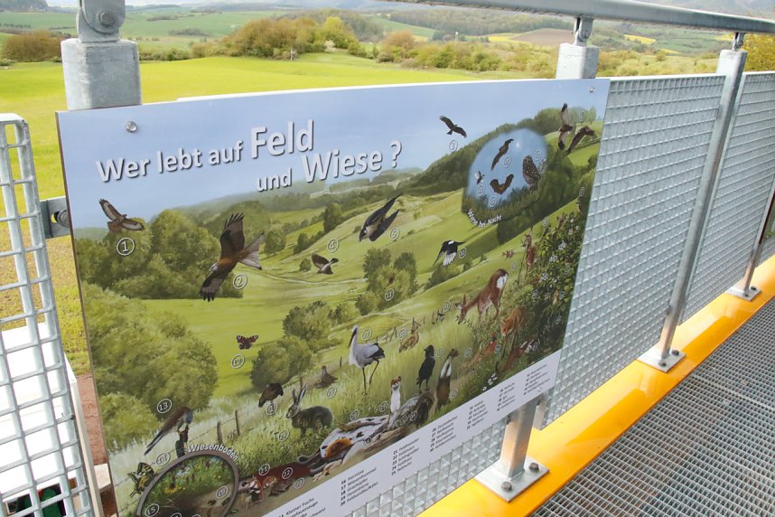 Er&ouml;ffnung des R&uuml;digsdorfer Aussichtsturms