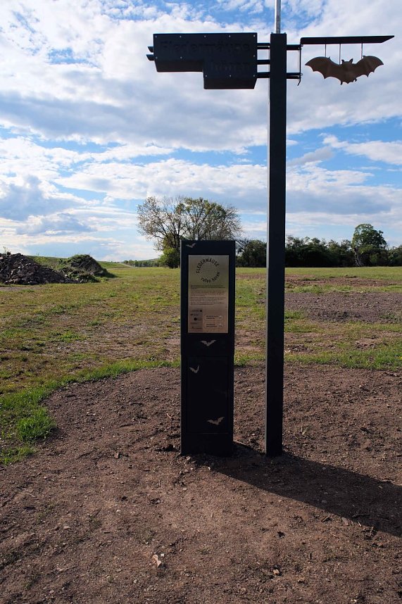 Flora und Fauna am Stausee Kelbra