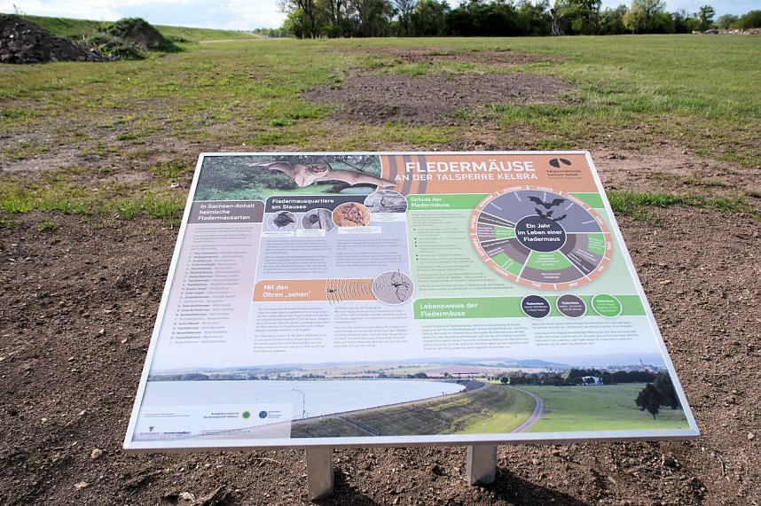 Flora und Fauna am Stausee Kelbra