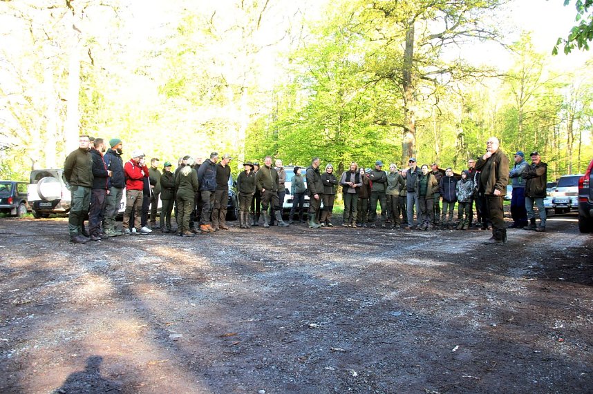 B&auml;ume im Ellricher Stadtwald gepflanzt