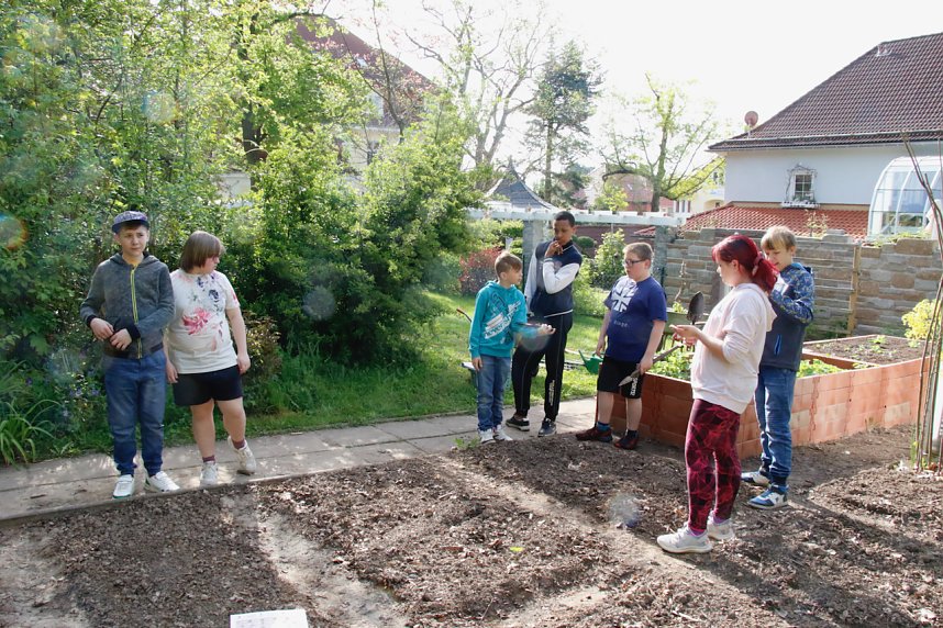 Die Gem&uuml;seackerdemie am F&ouml;rderzentrum Pestalozzi