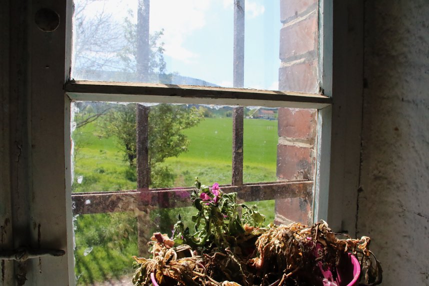 Besuch in der Circus M&uuml;hle Kelbra