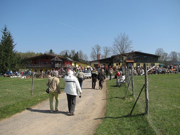 L&auml;mmer ausgetrieben