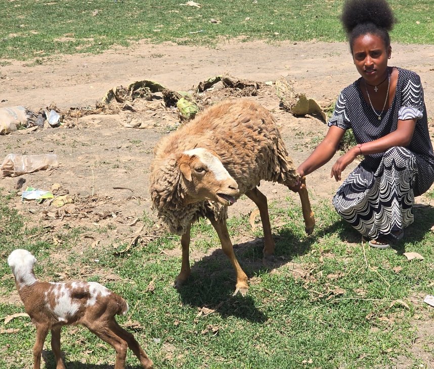 Neuigkeiten aus Degamba